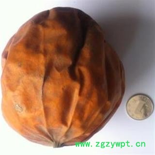 诺源药材行中药材瓜蒌 全瓜蒌图2