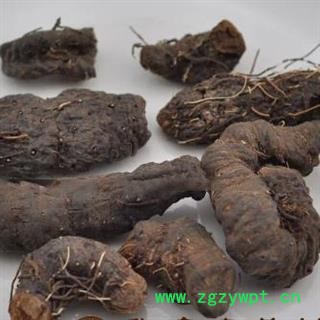小丽百草行草血竭 一口血、弓腰老、老腰弓、小么公、地蜂子 促销图2