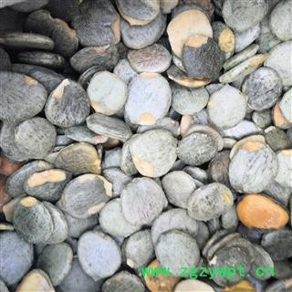 诺源药材行中药材正品木鳖子 木鳖子仁图2