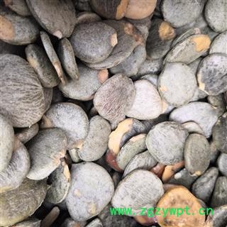 诺源药材行中药材正品木鳖子 木鳖子仁图3