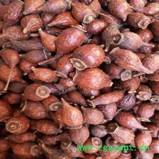 安祁名药金樱子  金樱子肉图2