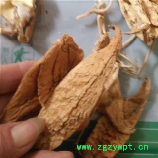 安祁名药中药材天浆壳  萝藦夹图2