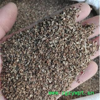 安祁名药蛇床子 野茴香 野萝卜子图2