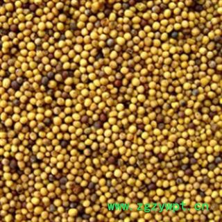 安祁名药黄芥子 另有白芥子图2