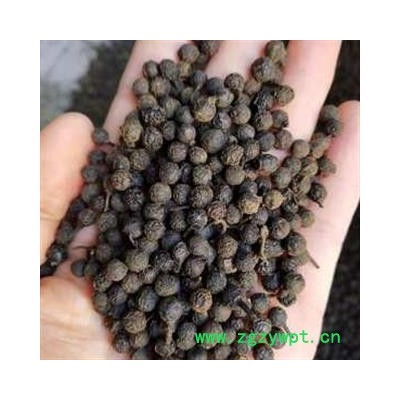 安祁名药中药材荜澄茄 另有荜澄茄根