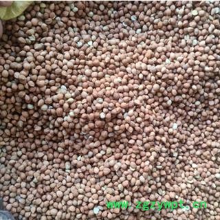 安祁名药郁李仁  含量高检测合格 值得信赖图2