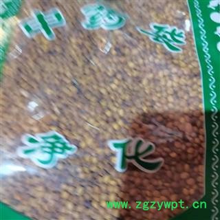 安祁名药正品中药材苦豆子图3