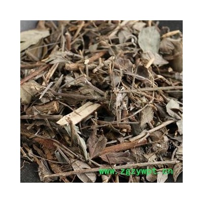 马扫帚  美丽胡枝子 马拂帚 随军茶 扫皮 胡枝子