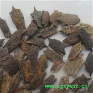 安祁名药优质藏药波棱瓜子 色吉美多[藏语]图3