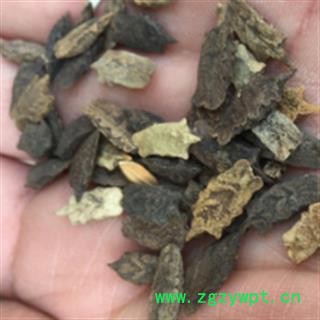 安祁名药优质藏药波棱瓜子 色吉美多[藏语]图2
