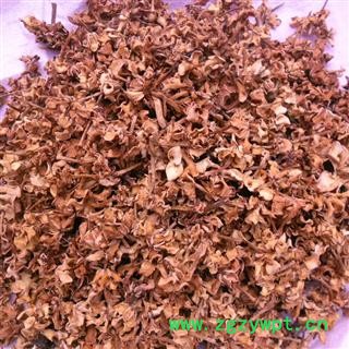 栀子花 精品 产地 四川省成都市双流县图3