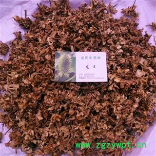 栀子花 精品 产地 四川省成都市双流县图4