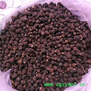 枳实 统货 产地 四川省成都市双流县图4