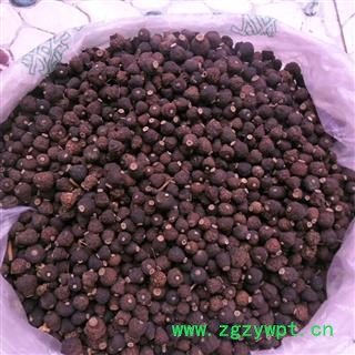 枳实 统货 产地 四川省成都市双流县图3