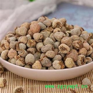 【新货】覆盆子 秦岭复盆子悬钩子覆盆莓山泡自采自制500g图3