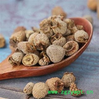 【新货】覆盆子 秦岭复盆子悬钩子覆盆莓山泡自采自制500g图4