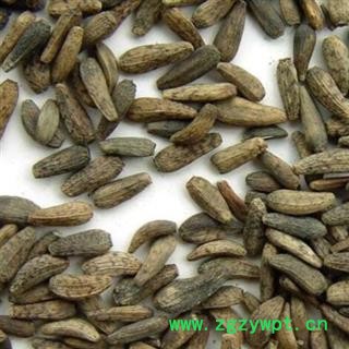 中药材牛蒡子 大力子 过风车净货 产地甘肃 尽在中药材诚实通安国中药材批零大全图3