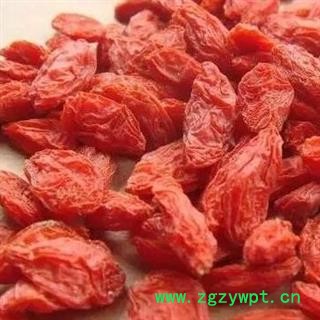 枸杞子 宁夏枸杞380 产地 宁夏回族自治区 中药材枸杞安国市批发零售大全图2