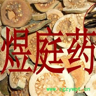 煜庭药业 番石榴 片 芭乐 鸡屎果图2