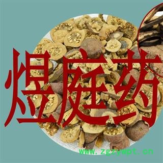 煜庭药业 番石榴 片 芭乐 鸡屎果图3
