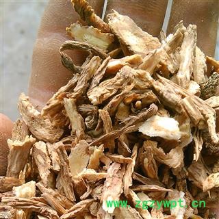 独活 片1000克促销批发独活小片 产地 甘肃省定西市图2