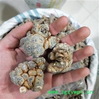 三七 三七10头 产地 云南省文山壮族苗族自治州图3