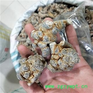 三七 三七10头 产地 云南省文山壮族苗族自治州图2