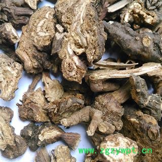 藁本片1000克促销批发 辽藁本统片 产地 海外图2