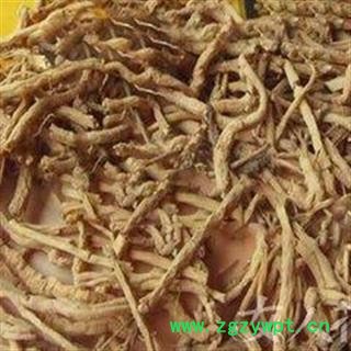 远志个筒 远志 一级统货 产地 辽宁省图2