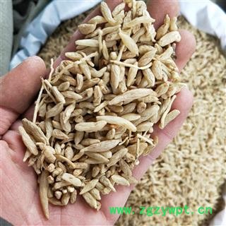 麦冬 川麦冬小统货 产地 四川省绵阳市图3