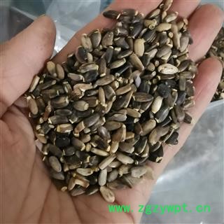 瑞森药材行 水飞蓟 奶蓟，老鼠筋，水飞雉 统货籽粒饱满图3