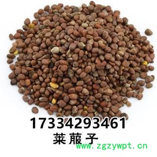 莱菔子 萝卜子 卜子 萝白子 菜头子 中药材图3
