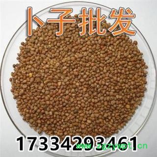 莱菔子 萝卜子 卜子 萝白子 菜头子 中药材图2