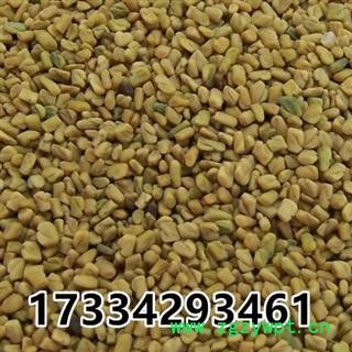 葫芦巴 芦巴子 苦豆 香草籽 葫芦巴籽 中药材图3