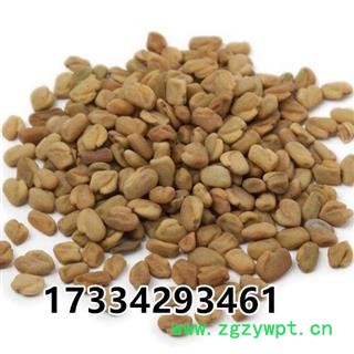 葫芦巴 芦巴子 苦豆 香草籽 葫芦巴籽 中药材图2