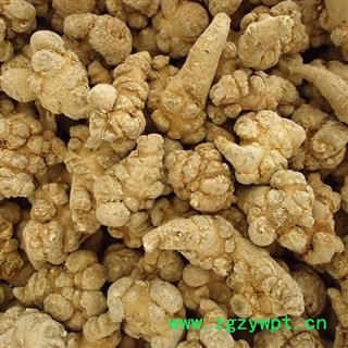 三七 三七40头1000克促销批发价 产地 云南省文山壮族苗族自治州文山县 大货批发价图2