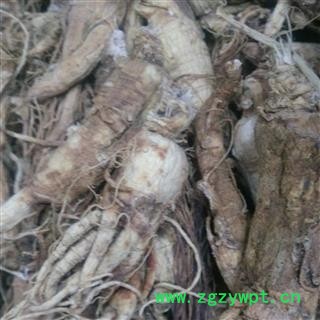 人参个 白参山参生晒参五年参投料 产地 吉林省图2