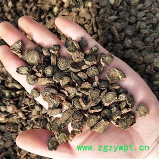 丹参片1000克促销批发红丹参紫丹参 无硫丹参一级片0.6-1.5 产地 山西省运城市万荣县图2