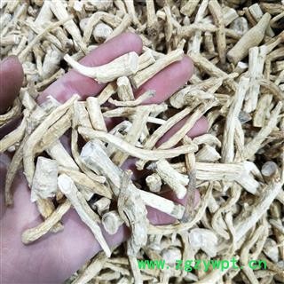 白参个人参生晒参野山参 白参小个 产地 吉林省图3