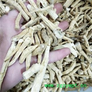 白参个人参生晒参野山参 白参小个 产地 吉林省图2