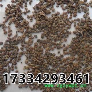 地肤子 地麦 扫帚子 地夫子 中药材图2