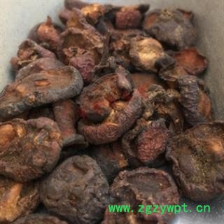 诺源中药材炒山楂  焦山楂 山楂炭图2