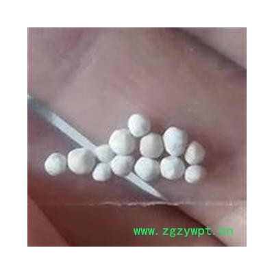 诺源药材行中药材正品肾精子 双肾子