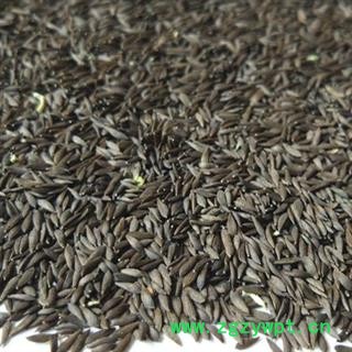 诺源药材行优质新货生菜籽 黑生菜籽 黑苣胜 另有白巨胜图2