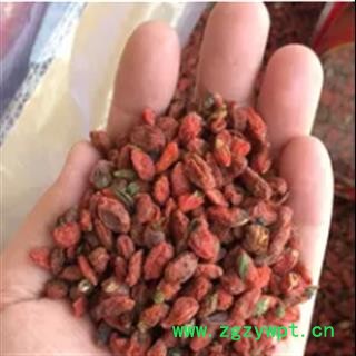 诺源中药材枸杞子 红枸杞  适合打粉图2