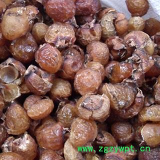 安祁名药无患子  无患子果皮 洗手果皮图2