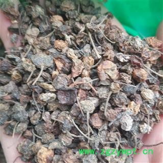 安祁名药正品野生龙葵果 天茄子图3