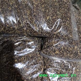 安祁名药精选东北黑土地 黑麦 小麦图3