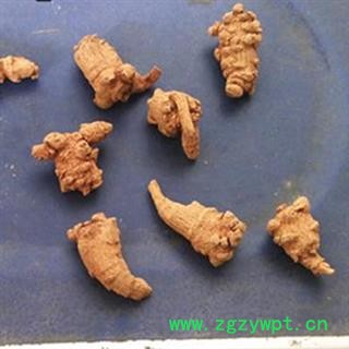 小丽百草行三七 文山三七120头图2