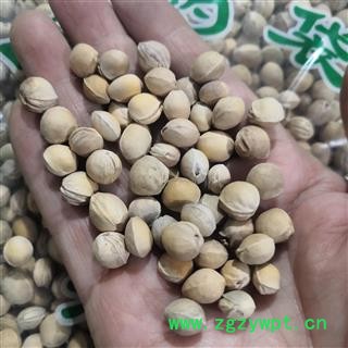 安祁名药樱桃核  楔荆桃 车厘子 朱果图3
